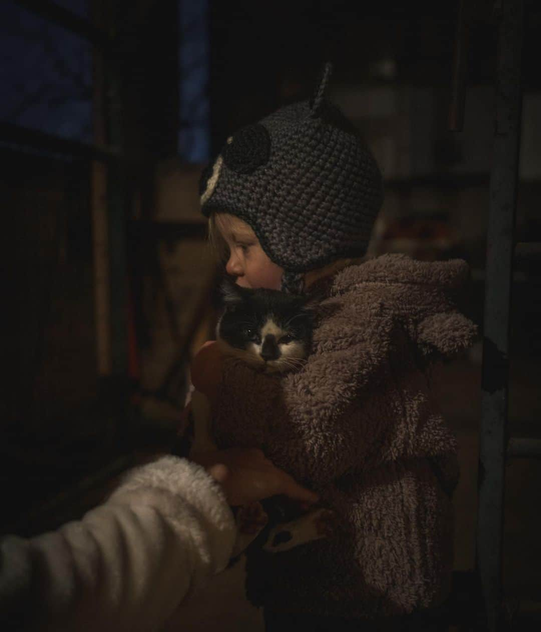 エミリー・デ・レイヴィンさんのインスタグラム写真 - (エミリー・デ・レイヴィンInstagram)「Here ya go! As promised😸 🐈 Kitten appreciation post!🐈 (From the Alpaca farm) Not sure how we made it out of there without Vera smuggling one of the kittens in our RV 😂 They followed us allll the way back!  Omg she was kitten OBSESSED!!! No clue where she got that from! 🧐🤪. 😻😻😻😻😻😻😻😻😻😻😻  📷 @eb.photogeography  #kittens #catsofinstagram #farmlife #rvlife #lifeontheroad #mumlife #momlife #toddlerlife #kidlife」11月18日 9時13分 - emiliede_ravin