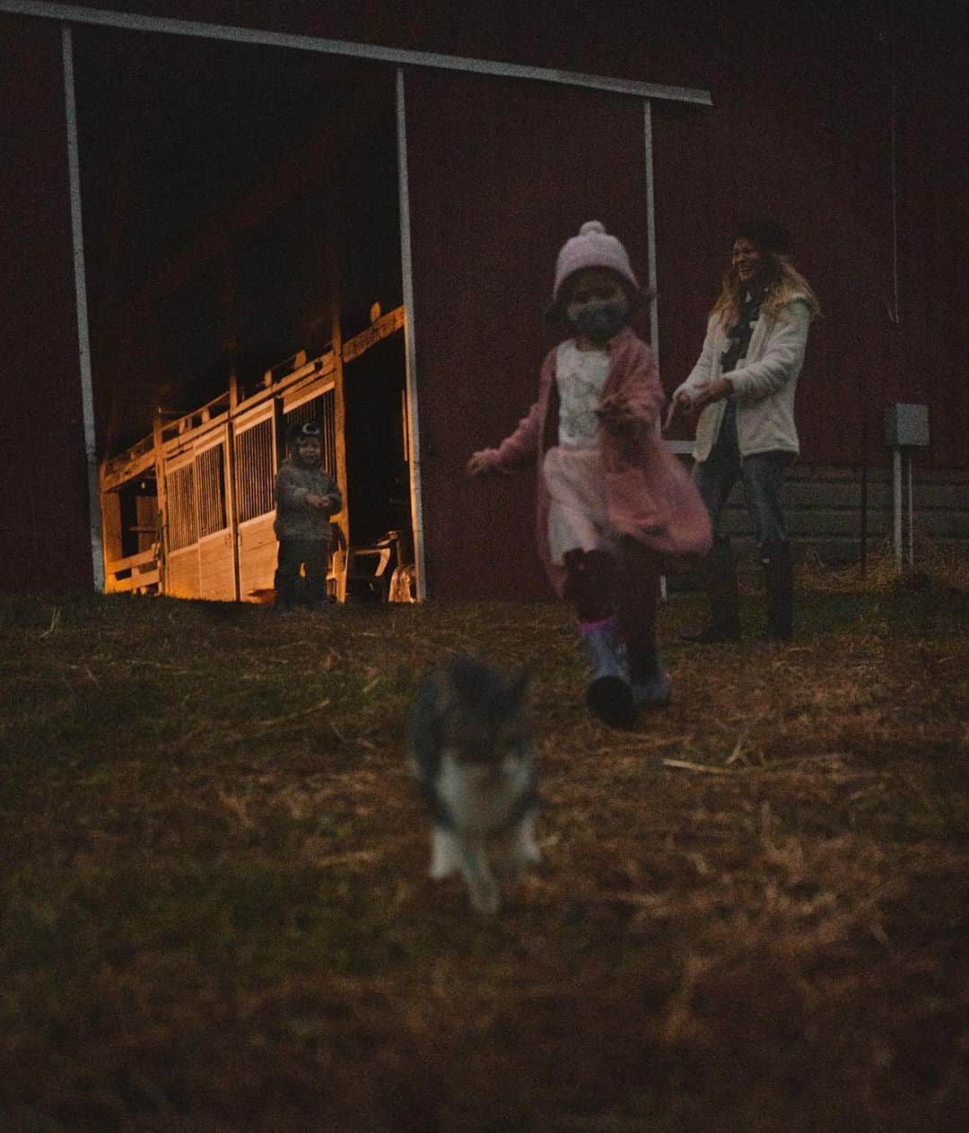 エミリー・デ・レイヴィンさんのインスタグラム写真 - (エミリー・デ・レイヴィンInstagram)「Here ya go! As promised😸 🐈 Kitten appreciation post!🐈 (From the Alpaca farm) Not sure how we made it out of there without Vera smuggling one of the kittens in our RV 😂 They followed us allll the way back!  Omg she was kitten OBSESSED!!! No clue where she got that from! 🧐🤪. 😻😻😻😻😻😻😻😻😻😻😻  📷 @eb.photogeography  #kittens #catsofinstagram #farmlife #rvlife #lifeontheroad #mumlife #momlife #toddlerlife #kidlife」11月18日 9時13分 - emiliede_ravin