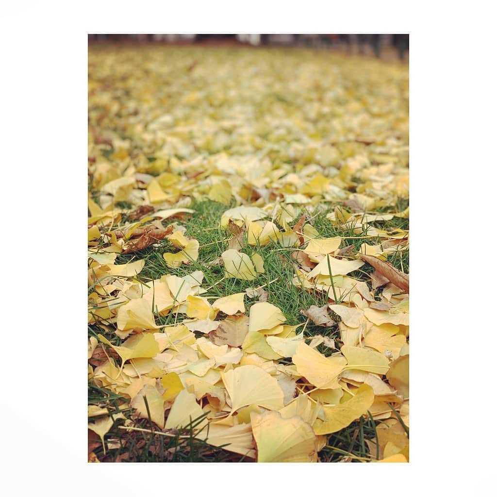 吉田羊さんのインスタグラム写真 - (吉田羊Instagram)「秋の終わり。  The end of autumn.  #In northern Japan」11月18日 10時30分 - yoshidayoh_official