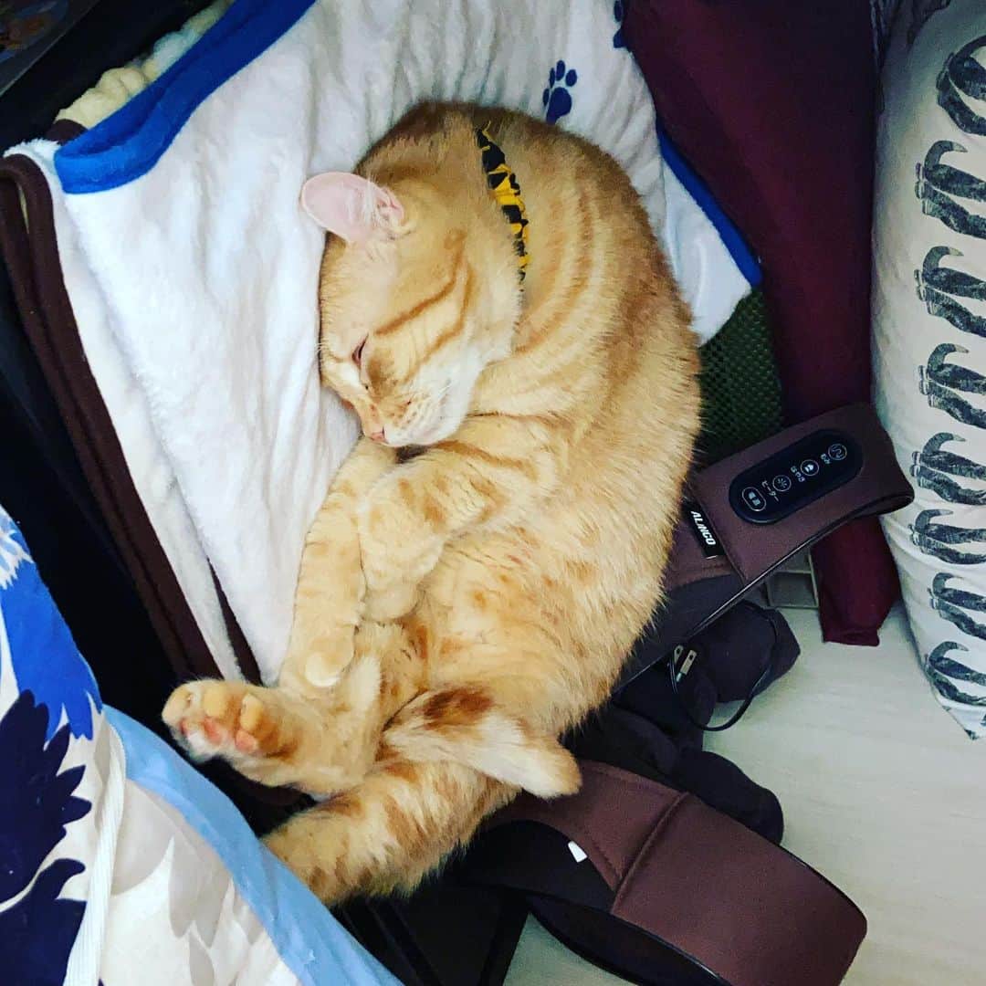 shigureのインスタグラム