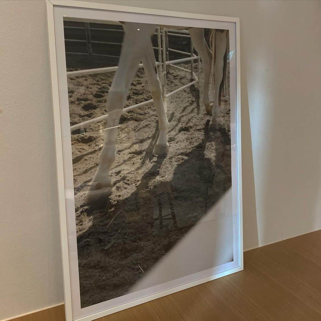 水野里砂のインスタグラム：「@inamuramasaya   まさやさんの素敵な写真。 figueにお迎えしました。  ここから想いが共有出来たらいいなぁ〜」