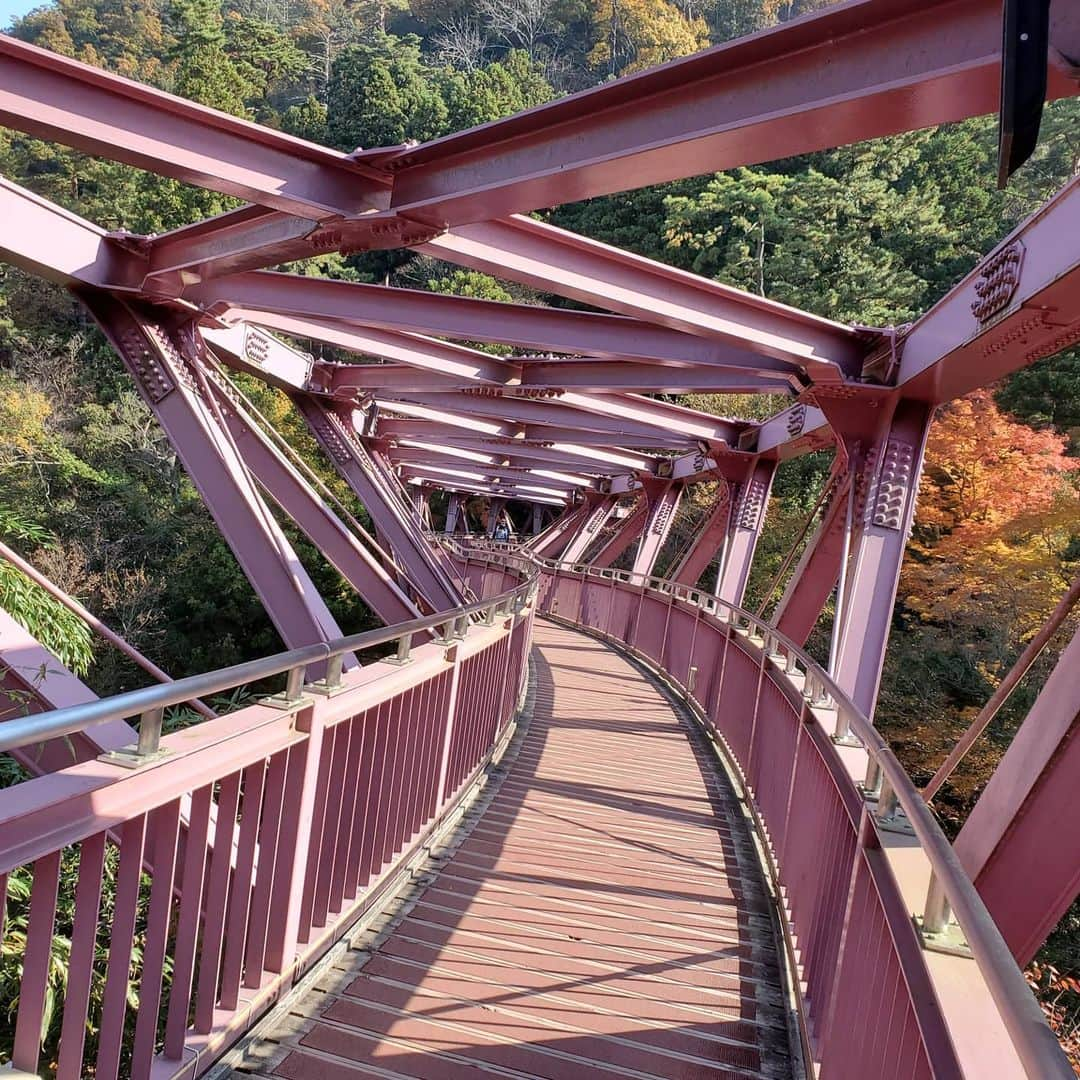 LillyTarotのインスタグラム：「【石川県の旅 帰りにちょっと福井県】 紅葉綺麗だったし ご飯美味しいし お酒飲み放題の種類めっちゃ豊富でいろいろ呑んで大満足  無理だけど 一生Go Toトラベルやっててほしいw  #石川県 #あやとり橋 #鶴仙渓  #gotoキャンペーン #海鮮」