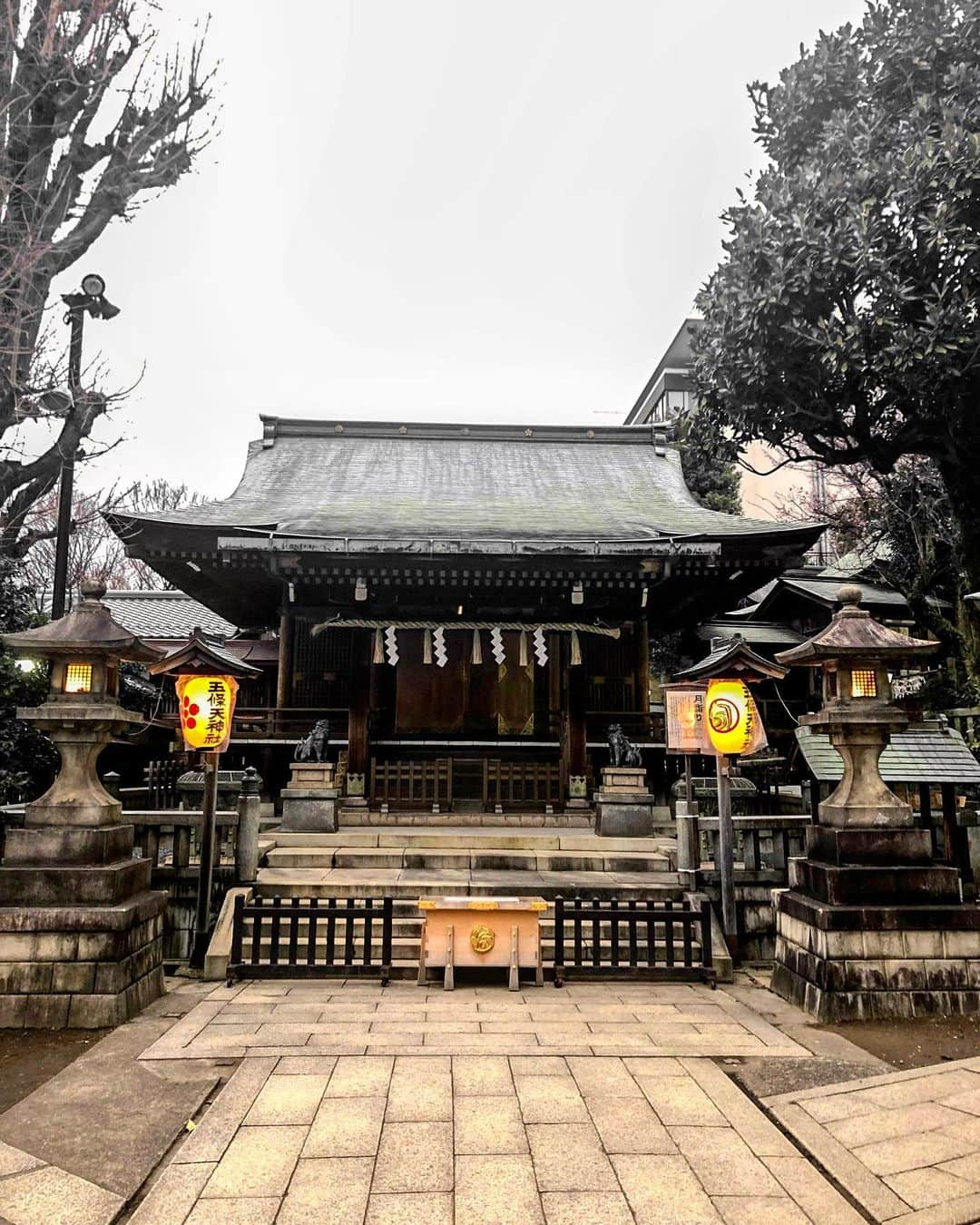 SHOCK EYEさんのインスタグラム写真 - (SHOCK EYEInstagram)「病気平癒、健康祈願 の医薬祖神を祀る五條天神社⛩ とても歴史を感じる趣きのある古社。 ヤマトタケルに縁があるところも好きだなー。 上野を訪ねた際には是非☝️  #神社 #五條天神社 #上野 #shrinegram #shrine」11月18日 11時44分 - shockeye_official