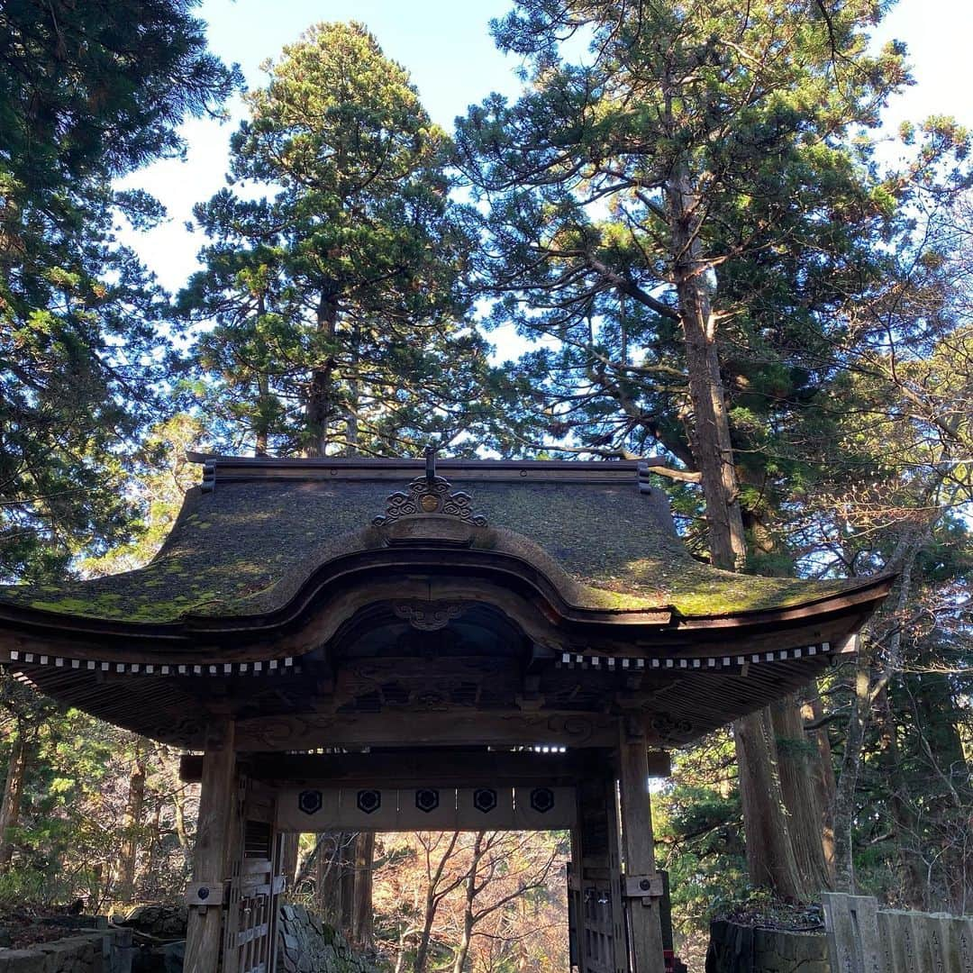 大宮エリーさんのインスタグラム写真 - (大宮エリーInstagram)「やっとこれましたー #エリートラベル #大神山神社」11月18日 11時45分 - ellie_omiya