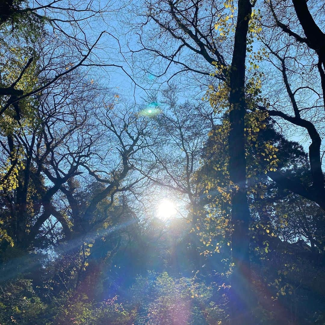 大宮エリーさんのインスタグラム写真 - (大宮エリーInstagram)「やっとこれましたー #エリートラベル #大神山神社」11月18日 11時45分 - ellie_omiya