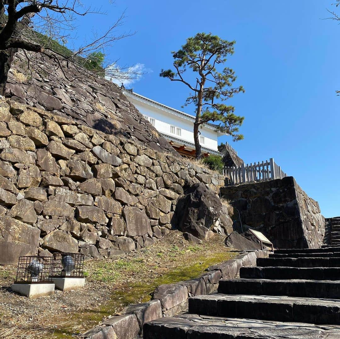 竹岡圭さんのインスタグラム写真 - (竹岡圭Instagram)「11月18日放送の「なかなか日本！〜高速道路DRIVE1バン旅〜」は、甲府城& 甲州夢小路へ🤗 石垣が立派❗️そして、上まで上がった時の景色の良さと清々しさはサイコー😊優ちゃんは芝生で踊ってましたよん🤣 夢小路はオシャレな小径。美味しそうなお店や、楽しい雑貨屋さんが並んでました😌 そして信玄餅😆やっぱりコレだよね👍 『なかなか日本！〜高速道路DRIVE1バン旅〜』tvk毎週水曜日21時55分〜（tvk映らない方もwebやスマホで、YouTubeアーカイブ観られますので是非ご覧くださいねー❗️ http://www.tvk-yokohama.com/naka_jpn/#」11月18日 22時32分 - kei_takeoka