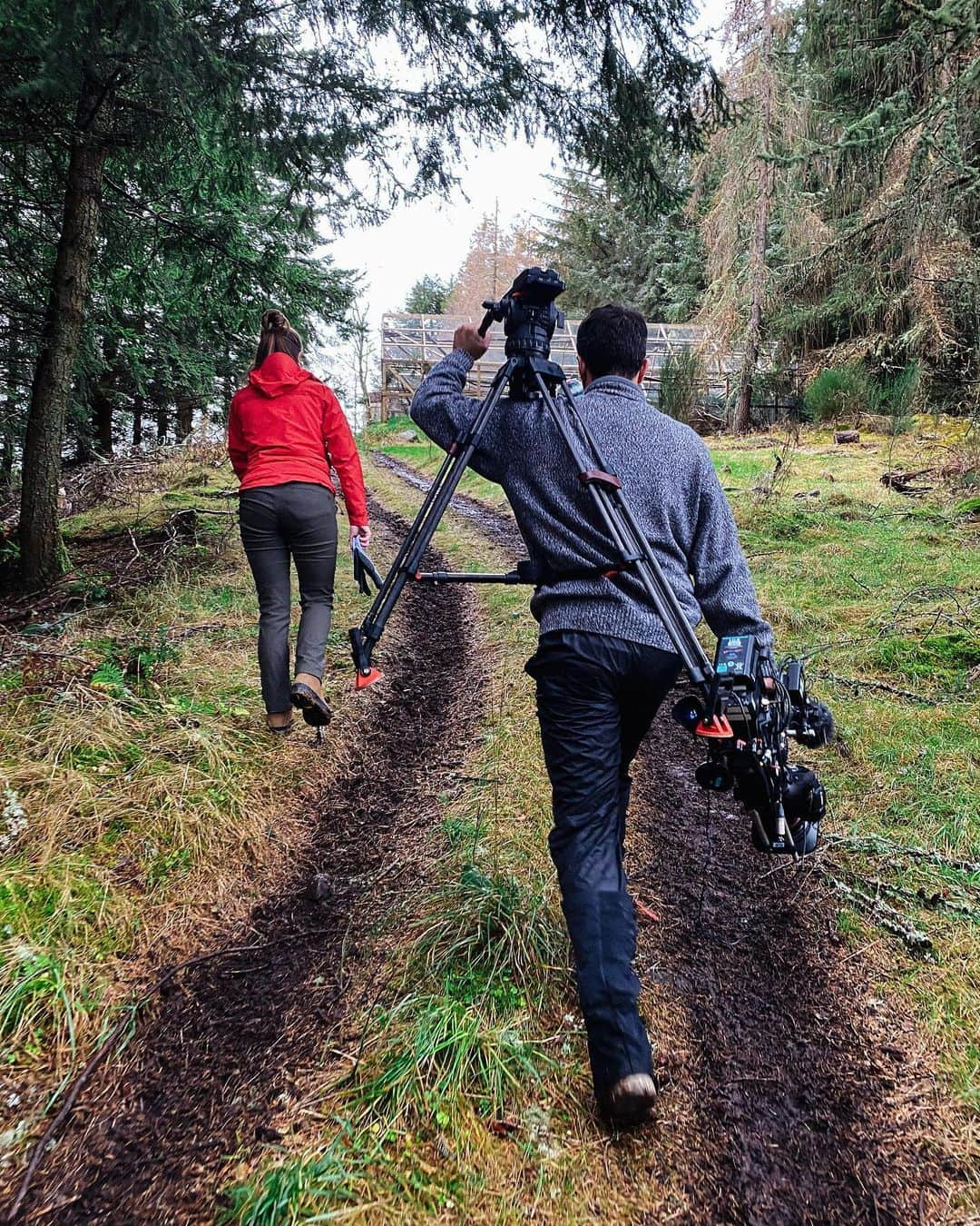 Jackson Harriesさんのインスタグラム写真 - (Jackson HarriesInstagram)「I had an amazing time filming at the @aigas_field_centre up in the Scottish Highlands for a short documentary on rewilding for @cbbc. I had a chance to see some incredible threatened species like red squirrels, pine marten and wild cats. My first time ever presenting for TV! Was a little bit nervous but it was such a joy to work with an experienced BBC crew. Thanks to @lensofazoologist and @day_tayvies for all your help. The doc will air in Spring of 2021. 🏔🏴󠁧󠁢󠁳󠁣󠁴󠁿」11月18日 21時22分 - jackharries