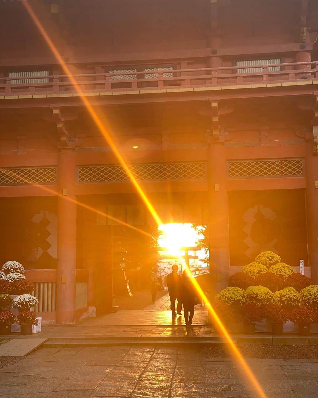 SHOCK EYEさんのインスタグラム写真 - (SHOCK EYEInstagram)「日が立つ地から何かが始まります。 今日は最高の撮影日和でした。 是非、、、 発表まで楽しみにしていてください。 見て！！ 奥の大鳥居、大きな楼門に差し込む夕暮れの光。 こんな写真、今までに一度もないよ💦✨ 奇跡のような一日でした。  #鹿島神宮 #神社 #大鳥居 #楼門 #日立 #常陸国一之宮 #夕暮れ #感謝 #新しいこと #ノン加工 #皆に幸あれ」11月18日 21時57分 - shockeye_official