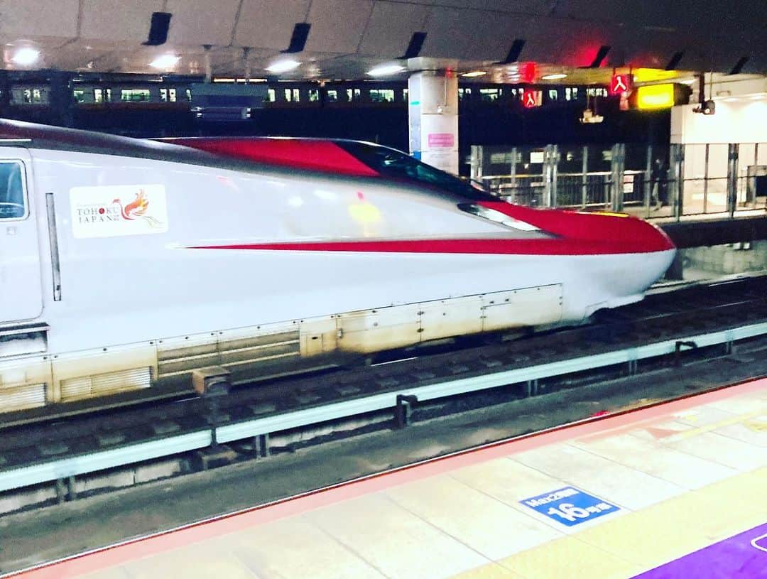吉川正洋さんのインスタグラム写真 - (吉川正洋Instagram)「東京駅に着いたらスターに挟まれてうれしかったです！  #N700S #E6系」11月18日 22時13分 - dhyoshikawa
