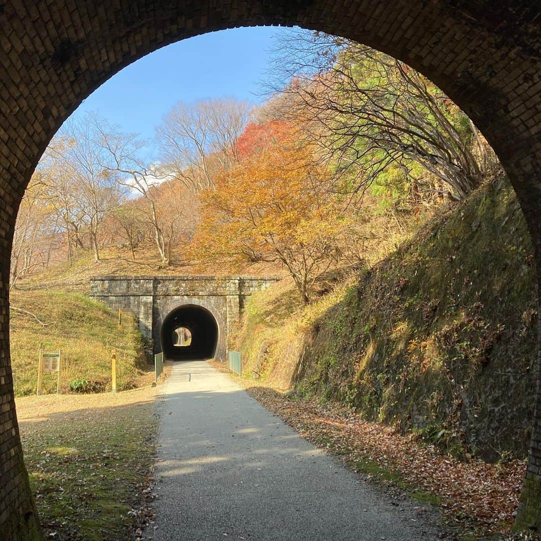 吉川正洋さんのインスタグラム写真 - (吉川正洋Instagram)「今日もよく歩いてよく乗りました  #しなの鉄道  #115系 #アプトの道 #めがね橋」11月18日 22時09分 - dhyoshikawa