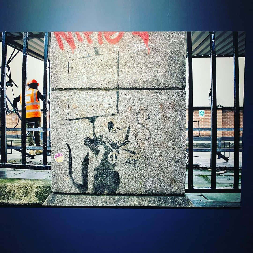 青柳昴樹さんのインスタグラム写真 - (青柳昴樹Instagram)「#banksy#バンクシー展天才か反逆者か#バンクシー」11月18日 22時19分 - kouki_57