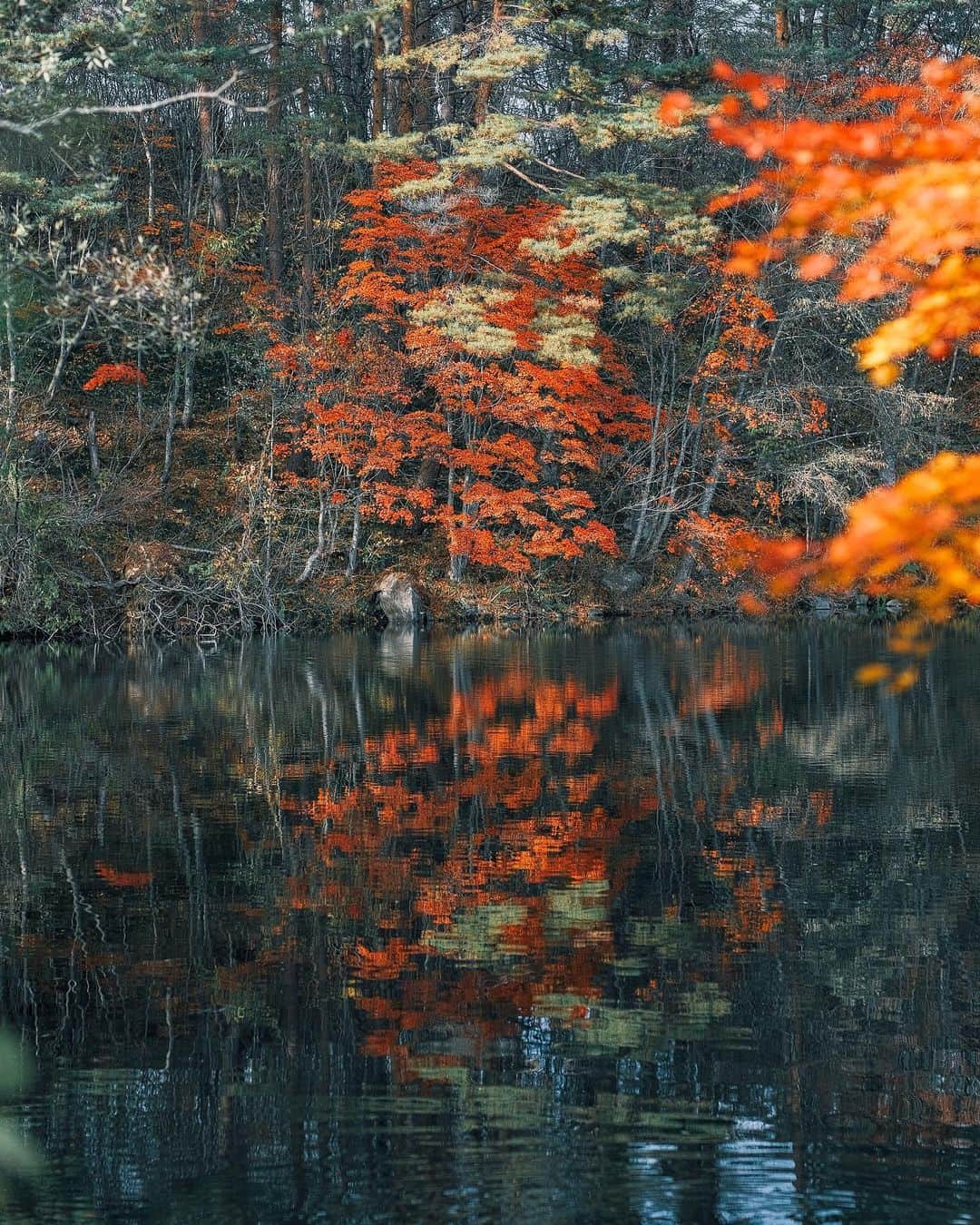 haru wagnusさんのインスタグラム写真 - (haru wagnusInstagram)「Mirrors of Goshiki Numa ㅤㅤㅤㅤㅤㅤㅤㅤㅤㅤㅤㅤㅤ ㅤㅤㅤㅤㅤㅤㅤㅤㅤㅤㅤㅤㅤ 五色沼の鏡面世界。 ㅤㅤㅤㅤㅤㅤㅤㅤㅤㅤㅤㅤㅤ ㅤㅤㅤㅤㅤㅤㅤㅤㅤㅤㅤㅤㅤ #五色沼  #五色沼湖沼群」11月18日 22時25分 - wagnus