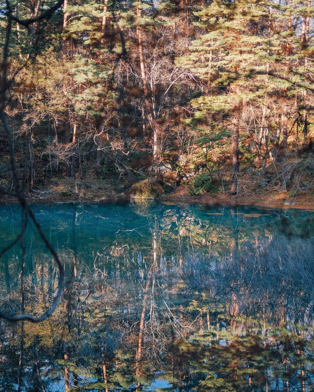 haru wagnusさんのインスタグラム写真 - (haru wagnusInstagram)「Mirrors of Goshiki Numa ㅤㅤㅤㅤㅤㅤㅤㅤㅤㅤㅤㅤㅤ ㅤㅤㅤㅤㅤㅤㅤㅤㅤㅤㅤㅤㅤ 五色沼の鏡面世界。 ㅤㅤㅤㅤㅤㅤㅤㅤㅤㅤㅤㅤㅤ ㅤㅤㅤㅤㅤㅤㅤㅤㅤㅤㅤㅤㅤ #五色沼  #五色沼湖沼群」11月18日 22時25分 - wagnus