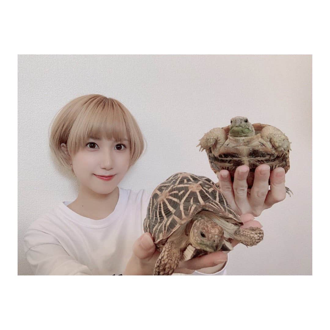 高松雪乃のインスタグラム