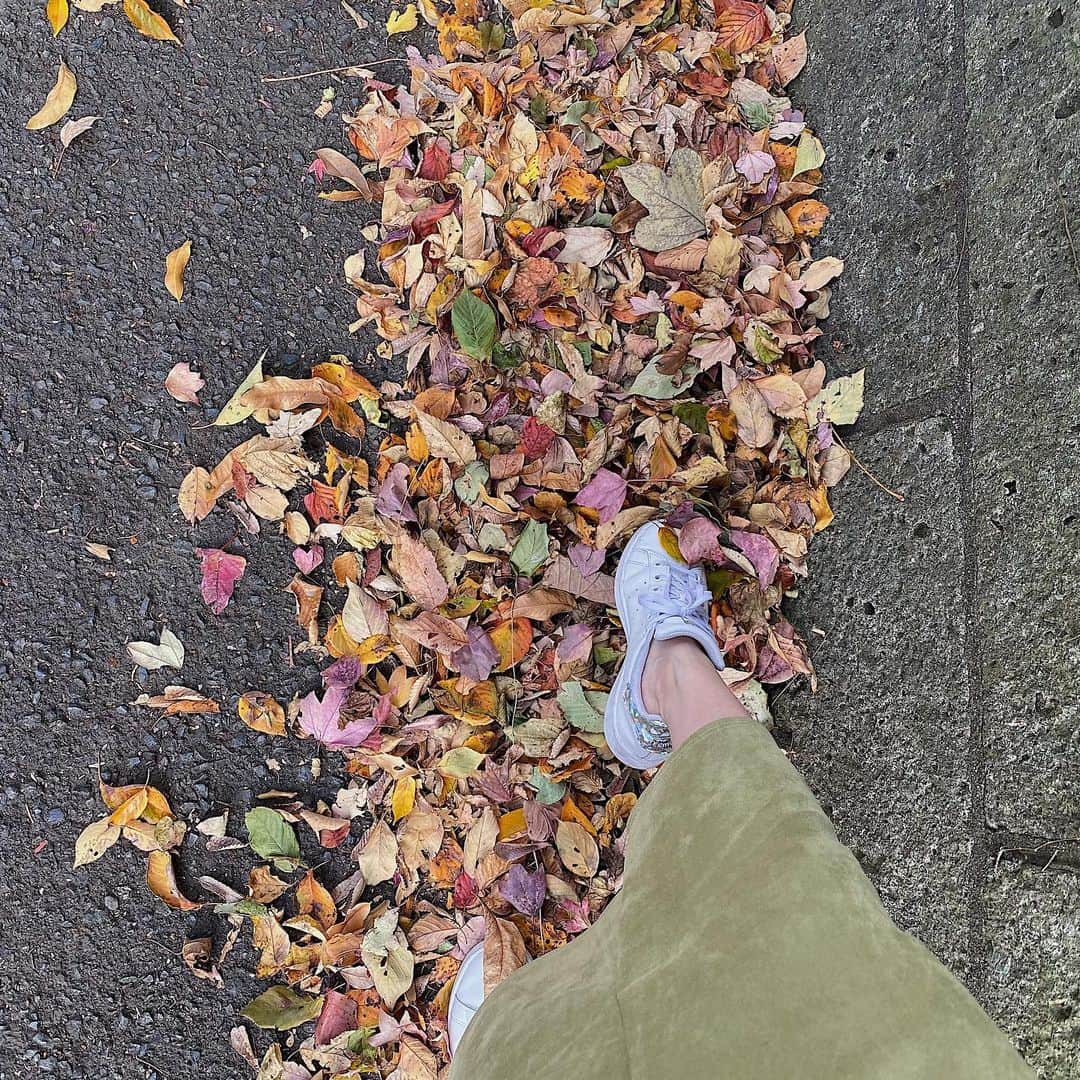 鈴木芳奈のインスタグラム：「自然に触れたくてちょっと都外へ 秋晴れとても気持ちいいし、ほんわりあったかくて、気持ちもふわぁっと溶けていきそう☺︎ 落ち葉がカラフルで綺麗✨ 芝生をみつけては思わず座ってのんびりしちゃった 山形では芝居によく寝転んでいたけどw 空を見上げるって気持ちいいね〜 秋だな〜🍁  #癒し #リラックスタイム #行ったことのないところへと行ってみる #日本の素敵なところもっと知りたい #fall」