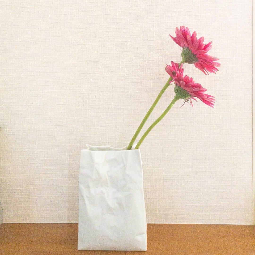 星野みちるさんのインスタグラム写真 - (星野みちるInstagram)「いただいた花瓶でお花を飾ったよ（＾∇＾） かわいー（＾ω＾）♪♪ありがと。 #お花　#flowers  #花瓶　#ガーベラ　#Gerbera #gerberas」11月18日 14時21分 - hoshinomichiru