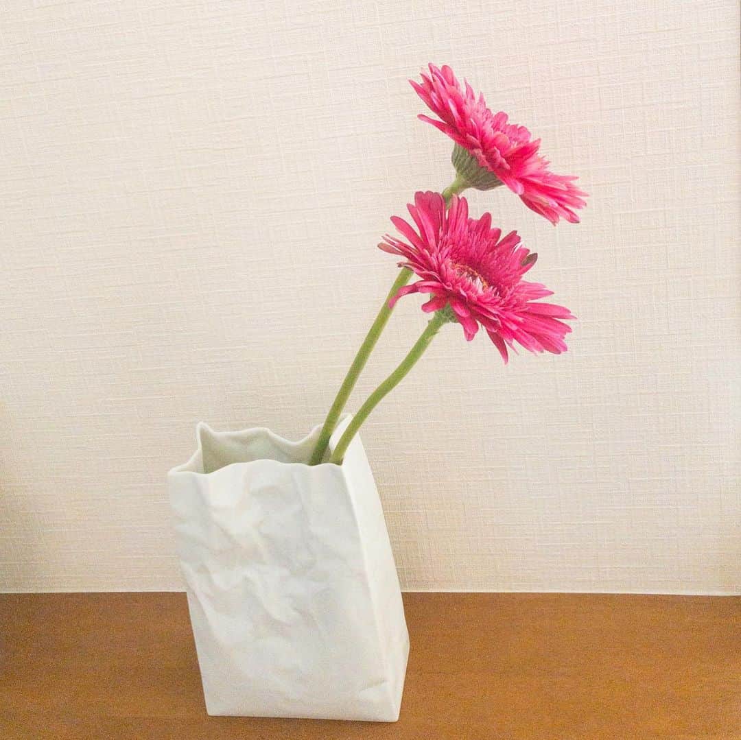 星野みちるのインスタグラム：「いただいた花瓶でお花を飾ったよ（＾∇＾） かわいー（＾ω＾）♪♪ありがと。 #お花　#flowers  #花瓶　#ガーベラ　#Gerbera #gerberas」