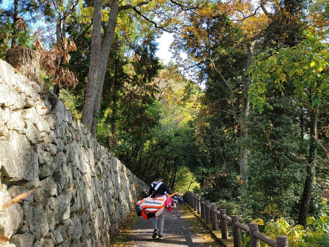 シン・ジエさんのインスタグラム写真 - (シン・ジエInstagram)「가을가을하다🍁 이번주도 힘차게!!」11月18日 14時55分 - jiyai_shin