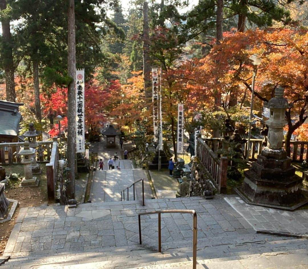 半田あかりさんのインスタグラム写真 - (半田あかりInstagram)「岐阜県にある谷汲山華厳寺へ お邪魔しました😊🍁  日本遺産というだけあって 大きく立派なお寺でした👏✨✨  本日の放送は12月より eo光テレビで随時流れるそうです😇  ご覧くださいね🍀」11月18日 15時07分 - handaakari