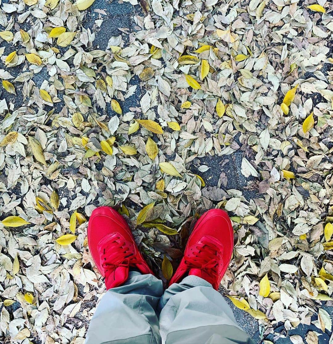 入江悠のインスタグラム