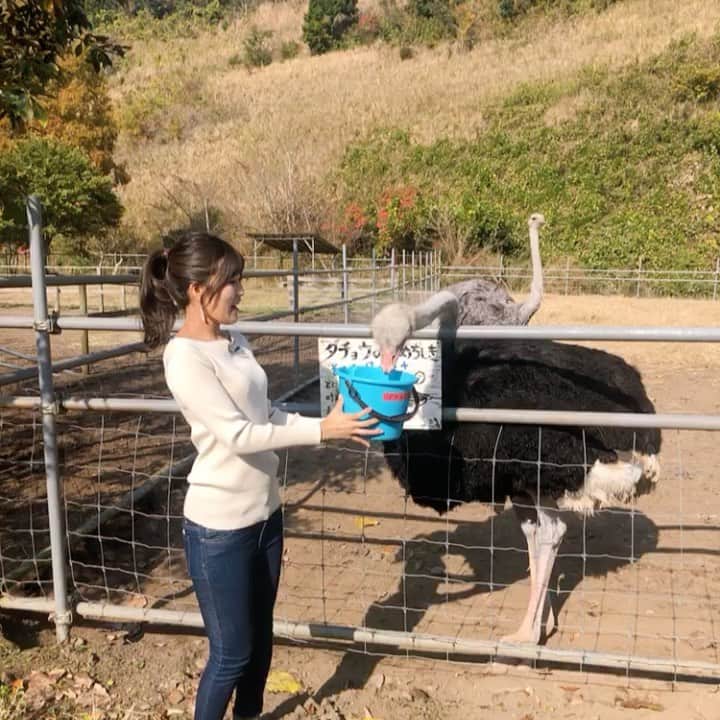 竹内里奈のグルメインスタ