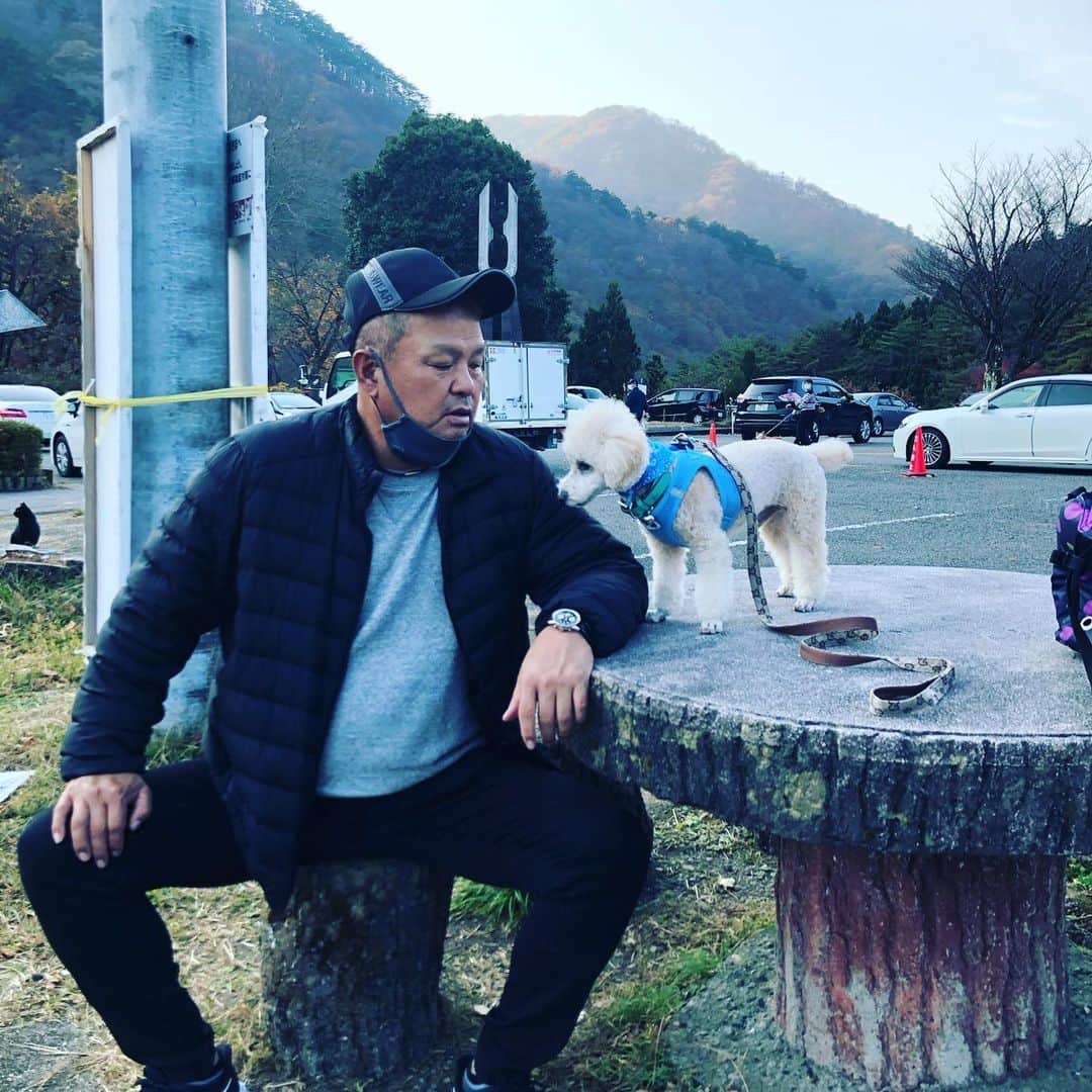 金村義明さんのインスタグラム写真 - (金村義明Instagram)11月18日 16時05分 - yoshiaki_kanemura