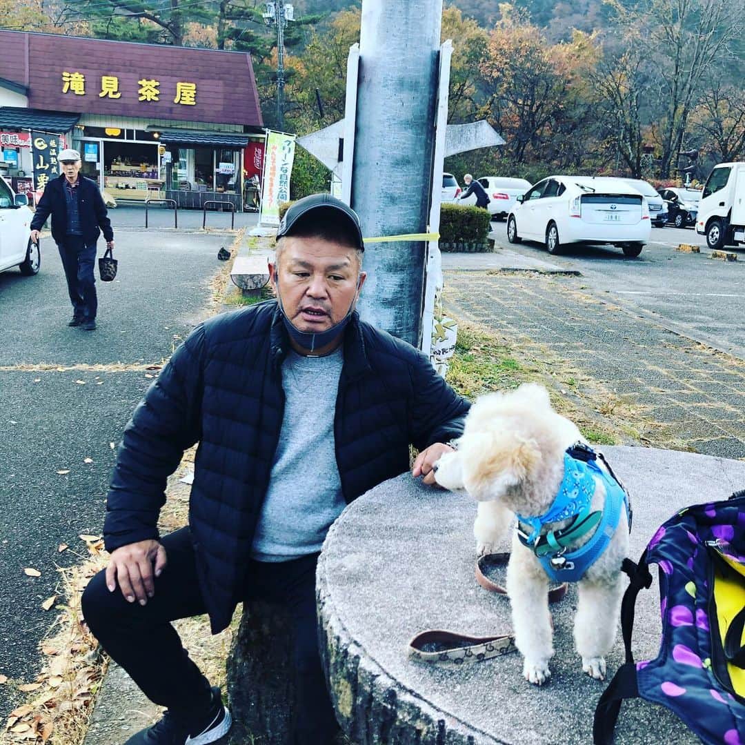 金村義明さんのインスタグラム写真 - (金村義明Instagram)11月18日 16時05分 - yoshiaki_kanemura
