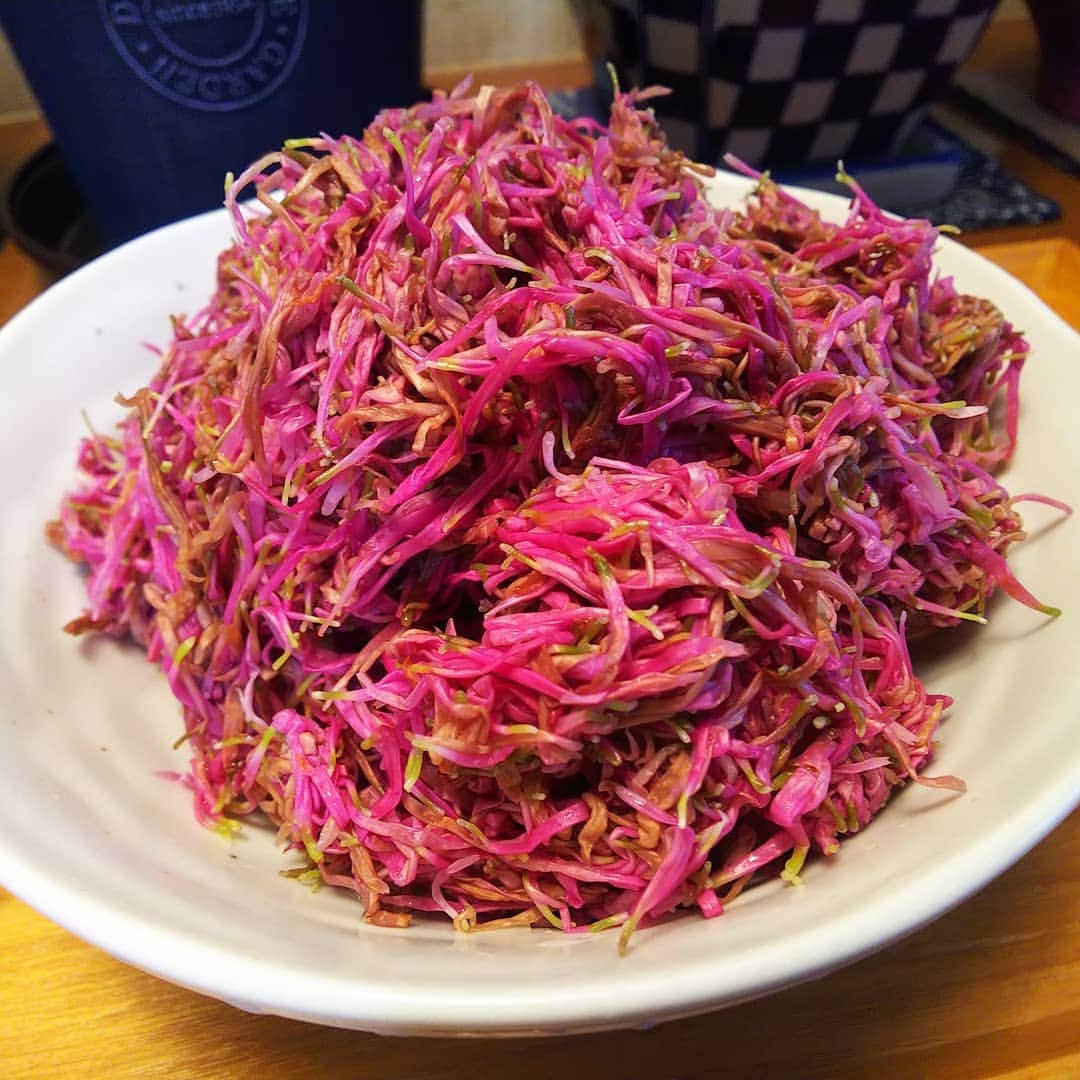 みながわゆみさんのインスタグラム写真 - (みながわゆみInstagram)「#きく #菊 #食用菊 #おひたし #おいしい #大好き」11月18日 16時33分 - nama.09.19