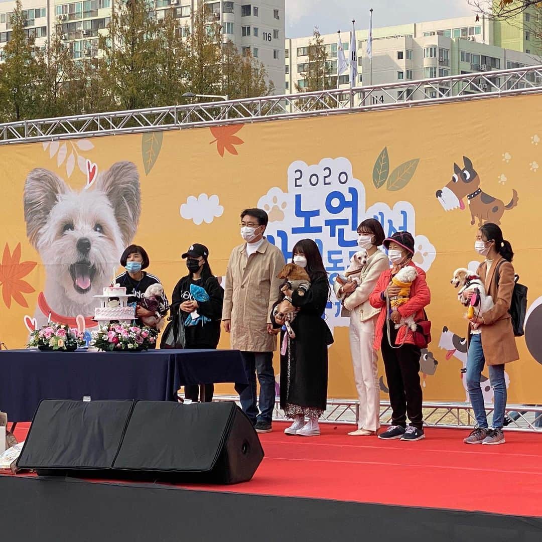 ユン・ダヨンのインスタグラム：「#갈비의임보일기 노원구청장님과 함께 유기견 생일잔치 참석해씀니다.. 임보중인 갈비와 함께..^^  #노원구청 #사지말고입양하세요」