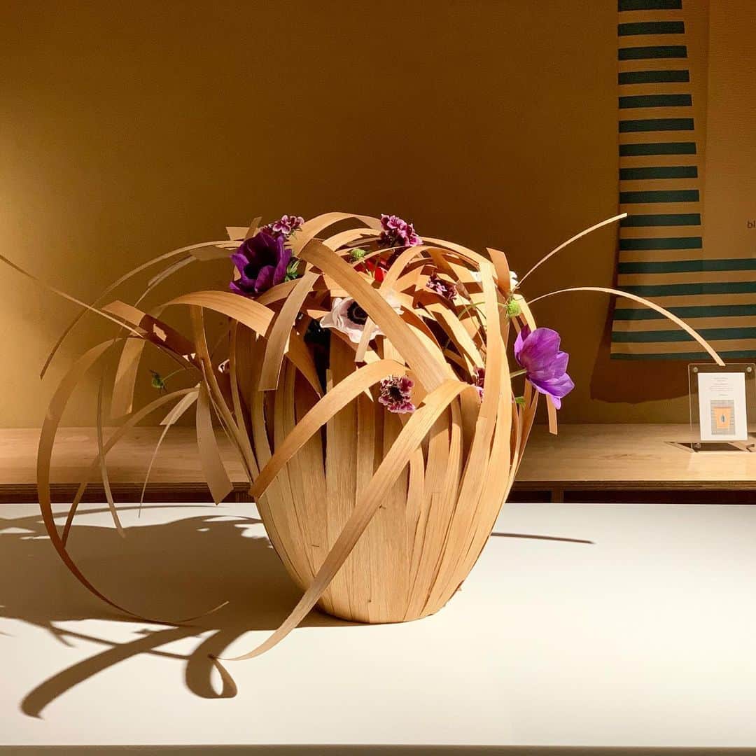 座間アキーバのインスタグラム：「Winter blooms installation for @bluebottlejapan Kyoto  #akivazama #hanatombo #flowers  #akivawoodwork」
