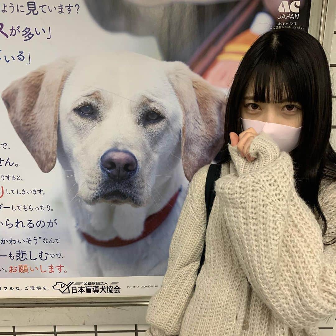 湯井のんさんのインスタグラム写真 - (湯井のんInstagram)「#犬好きな人と繋がりたい」11月18日 16時47分 - yinn_chance