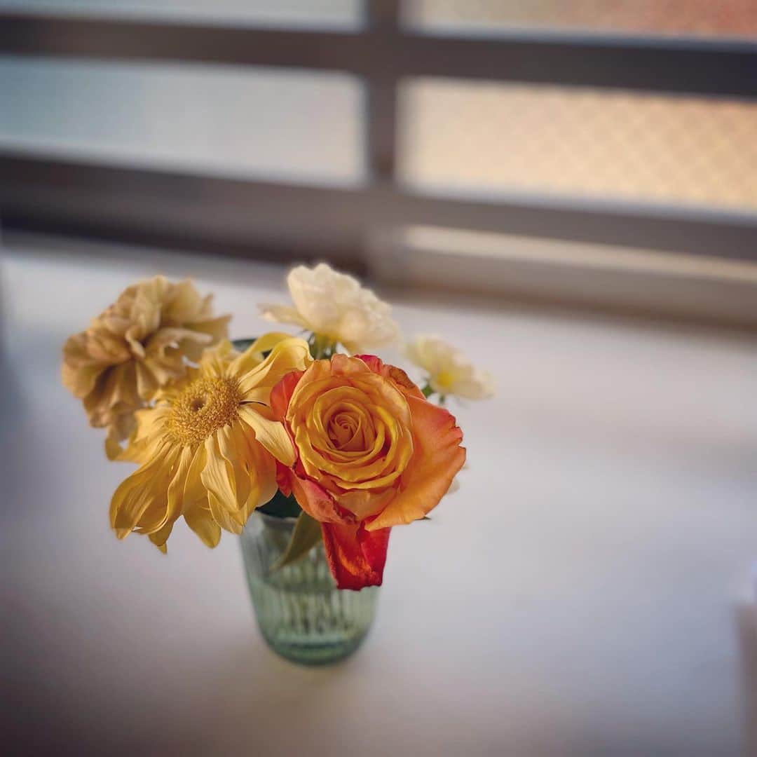 大手小町さんのインスタグラム写真 - (大手小町Instagram)「ちょっと萎れてきちゃった。と、みずが思ったら水が。。。  500円の花束セット💐  #otekomachi #大手小町 #フラワーアレンジ  #花束 #ワンコイン #花のある暮らし #花のある生活 #おうち時間を楽しもう #おつかれちゃん」11月18日 17時04分 - otekomachi