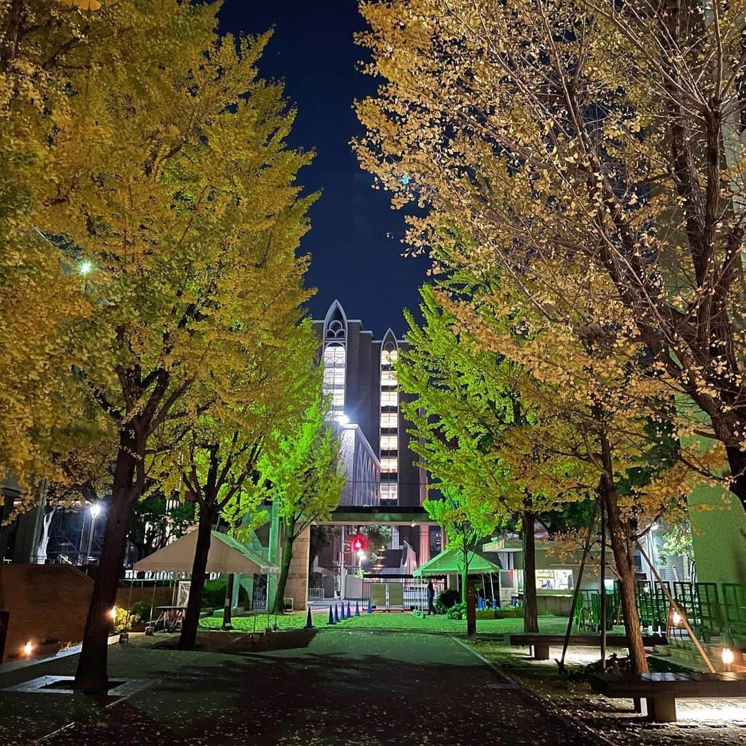 近畿大学総務部広報室さんのインスタグラム写真 - (近畿大学総務部広報室Instagram)「#kindaiuniversity  #nightview  #higashiosaka campus  #iphone12promax  #nofilter #nofilterneeded   #近畿大学 #東大阪キャンパス の#夜景  #嘘みたいだけど  #ノーフィルター  #秋の夜長  #銀杏並木 も#色づく秋」11月18日 17時34分 - kindaiuniversity