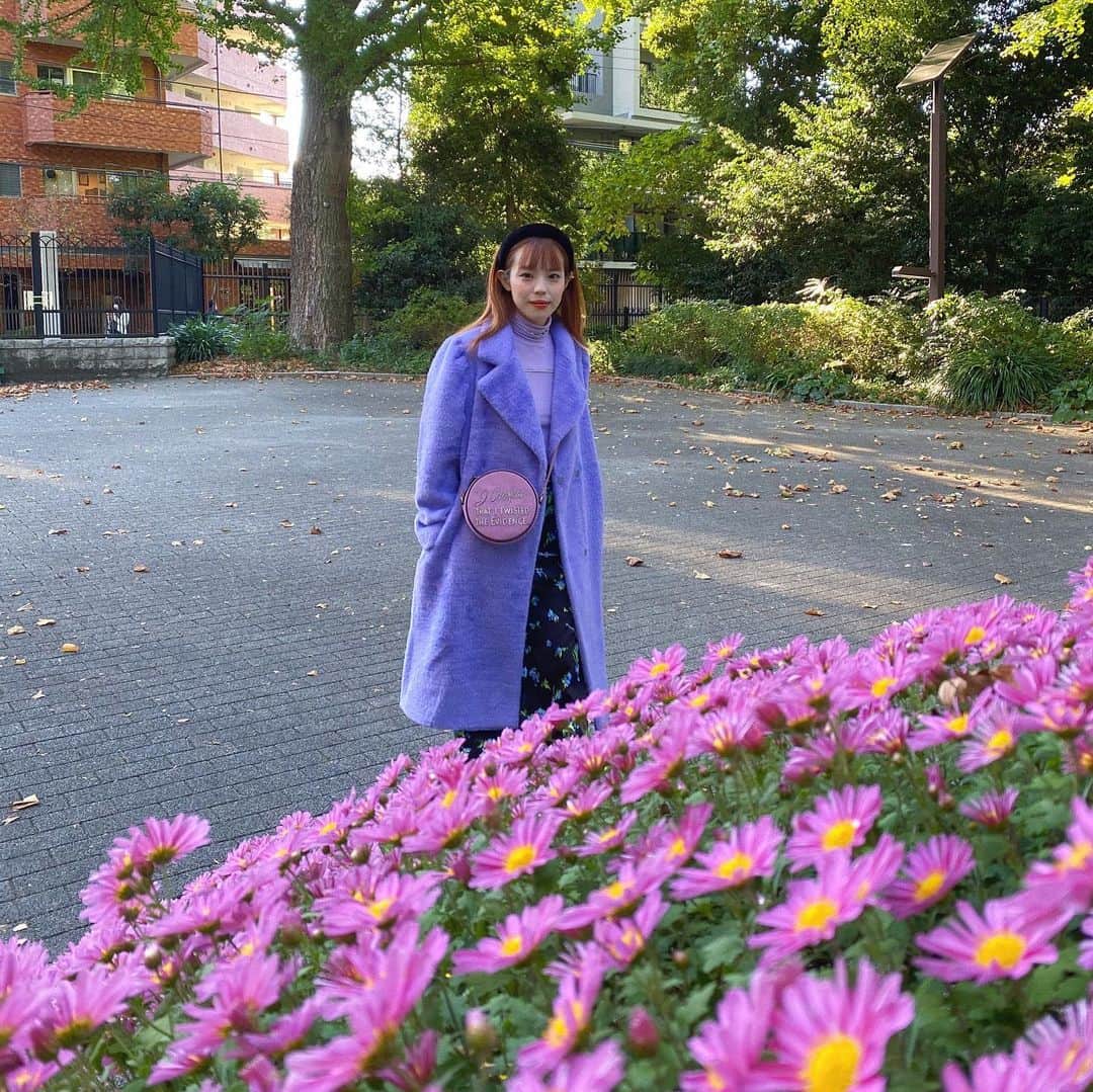 瀬戸あゆみさんのインスタグラム写真 - (瀬戸あゆみInstagram)「てくてく、うろうろ。 🚶‍♀️🌸  #dearsisterhood  #ayumi_outfit」11月18日 17時35分 - setoayumi