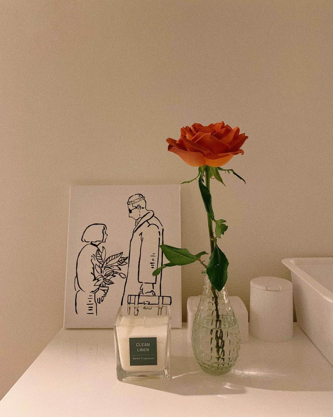 松岡里英さんのインスタグラム写真 - (松岡里英Instagram)「・ Terracotta orange🧡  #flower #myroom」11月18日 17時44分 - matuoka0519