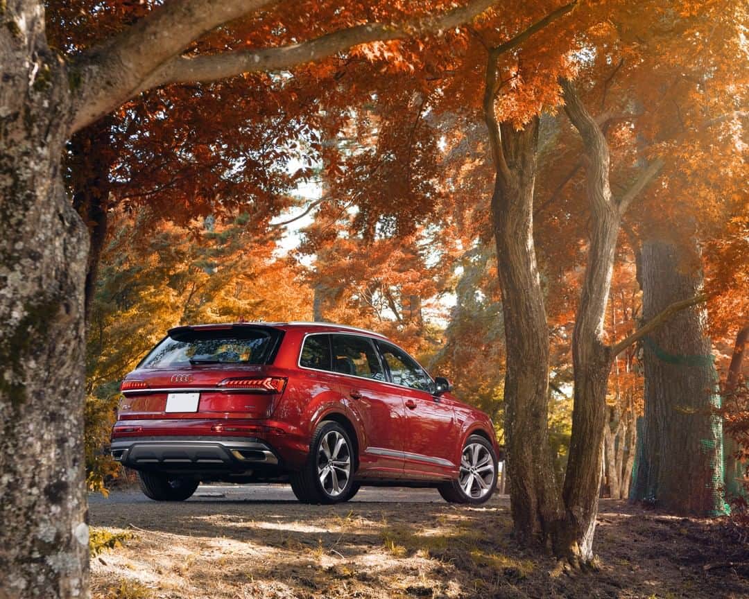 アウディ ジャパンさんのインスタグラム写真 - (アウディ ジャパンInstagram)「一目見た瞬間に力強い走りを予感させるAudi Q7のリアデザイン。 新たな秋の名所を探して、Audiと秋の旅は続きます。  #Audi #AudiQ7 #アウディQ7 #Audijapan #アウディ #carwithoutlimits #carsofinstagram #Audiworld #Audigenic #車好きな人と繋がりたい #紅葉 #虹の郷 #秋 #Autumn #秋の空 #秋の風景 #ドライブ」11月18日 18時00分 - audijapan