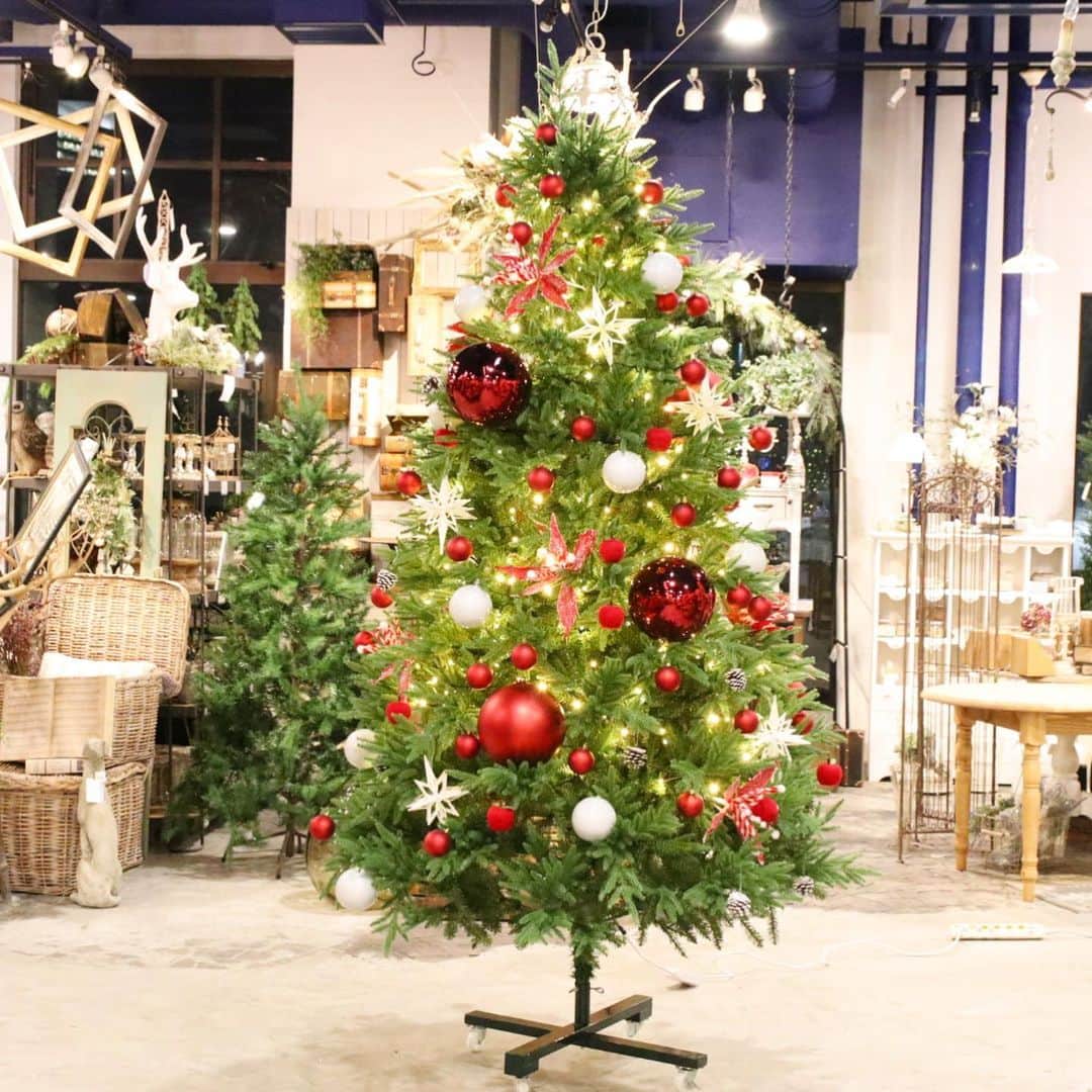 横浜ディスプレイミュージアムのインスタグラム：「🎄クリスマスツリーのご紹介🎄  ポップで賑やかなデコレーションはファミリーで楽しむアットホームなクリスマスにおすすめ🌟 赤白の定番カラーはトレンドに左右されず、これからも長く飾っていただけますよ！子どもから大人まで親しめる可愛らしいツリーです😊  電飾はこれまた定番カラーのシャンパンゴールド色で、絶対外さない王道の組み合わせになっています！  今年はおうちで楽しむクリスマス。家族や友人とツリーの飾り付けをしてみてはいかがですか？？ ＊ ＊ クリスマスグッズなら横浜ディスプレイミュージアムへ！ クリスマスツリーはもちろん、オーナメントや電飾、リース、クリスマス雑貨など豊富に取り揃えております✨  #横浜ディスプレイミュージアム #株式会社ポピー #横浜 #ディスプレイ#アーティフィシャルフラワー #フラワーアレンジメント #フラワーデザイン #インテリア雑貨 #インテリア#インテリアコーディネート#スタイリスト#装飾#デコレーション #クリスマスインテリア #クリスマスギフト #クリスマスツリー #クリスマスディスプレイ #横浜散歩 #display #yokohama#flowerarrangement #interiordesign #artficialflower #christmastree #christmasdecor」