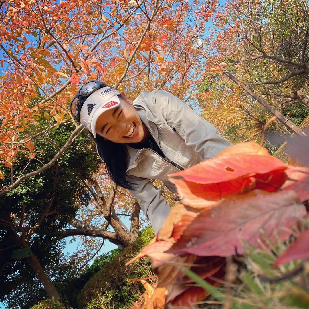 坂口佳穂さんのインスタグラム写真 - (坂口佳穂Instagram)「picnic day ne 🍂🤎  #autumn #秋 #11月 #今日はミッキーとミニーの誕生日らしくて #祝日じゃん#Whydidyoupractice #今日はホリデーじゃん#アハハハハ #なんて冗談を言うぺぺコーチでした #jajaja#nandeyanen #紅葉は映えるらしい #映えもの大好き礼ちゃんが撮ってくれたヨ」11月18日 18時08分 - s_ka_ho