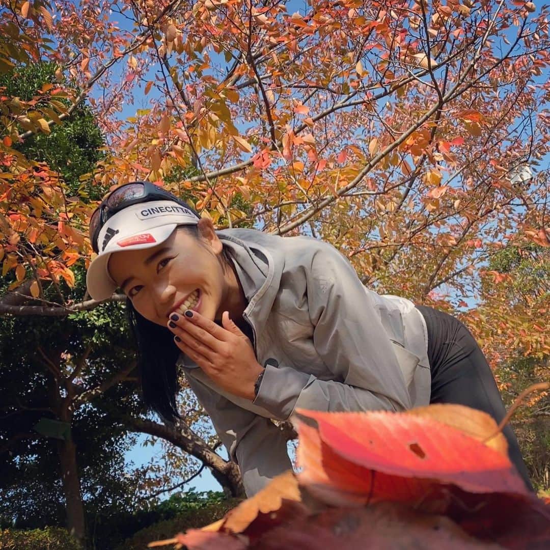 坂口佳穂さんのインスタグラム写真 - (坂口佳穂Instagram)「picnic day ne 🍂🤎  #autumn #秋 #11月 #今日はミッキーとミニーの誕生日らしくて #祝日じゃん#Whydidyoupractice #今日はホリデーじゃん#アハハハハ #なんて冗談を言うぺぺコーチでした #jajaja#nandeyanen #紅葉は映えるらしい #映えもの大好き礼ちゃんが撮ってくれたヨ」11月18日 18時08分 - s_ka_ho