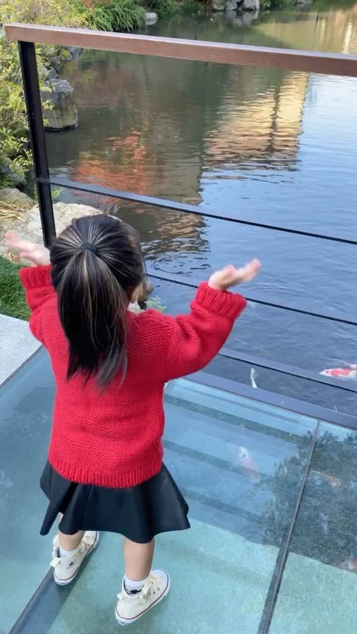 のインスタグラム：「はじめてのエサやり😊」