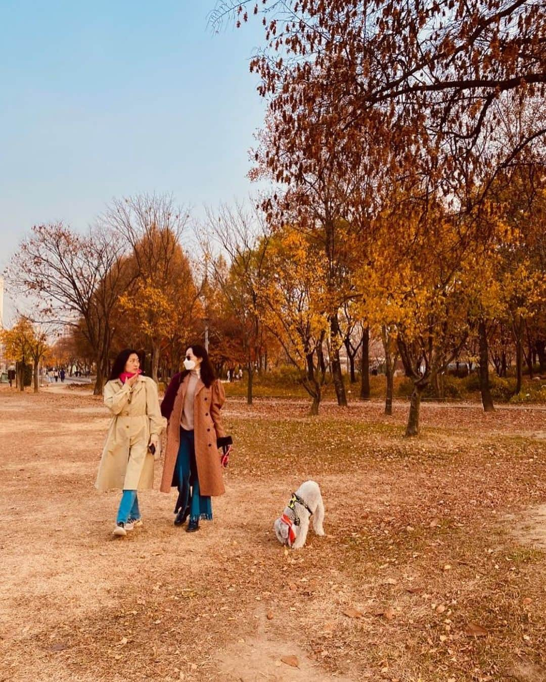 オム・ジウォンさんのインスタグラム写真 - (オム・ジウォンInstagram)「가을아🍁가지마오 아직은 조금만 더🍂  #산후조리원 도 아직은 조금만 더  #아름다운것들이 #빨리진다 #아직은좀만더」11月18日 18時02分 - umjeewon