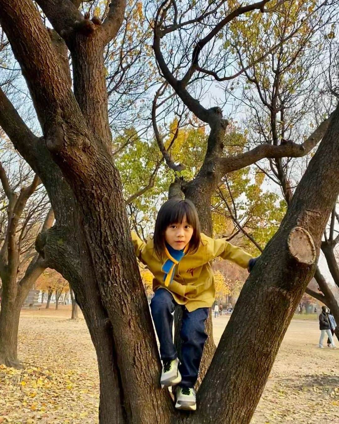 オム・ジウォンさんのインスタグラム写真 - (オム・ジウォンInstagram)「가을아🍁가지마오 아직은 조금만 더🍂  #산후조리원 도 아직은 조금만 더  #아름다운것들이 #빨리진다 #아직은좀만더」11月18日 18時02分 - umjeewon