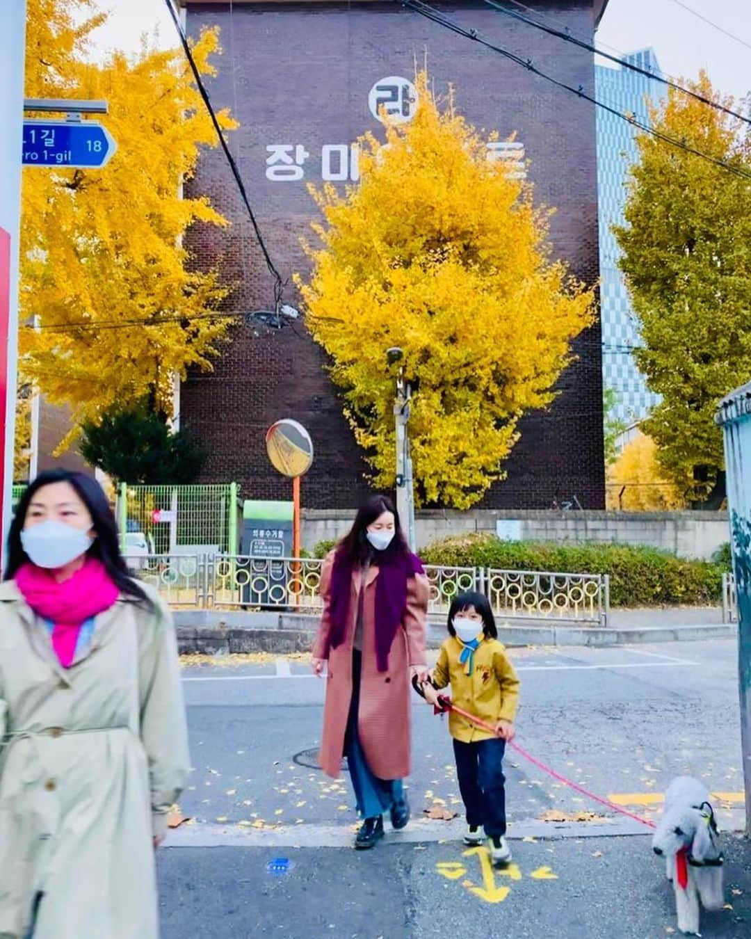 オム・ジウォンさんのインスタグラム写真 - (オム・ジウォンInstagram)「가을아🍁가지마오 아직은 조금만 더🍂  #산후조리원 도 아직은 조금만 더  #아름다운것들이 #빨리진다 #아직은좀만더」11月18日 18時02分 - umjeewon