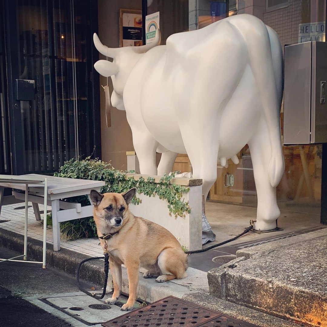 一三のインスタグラム