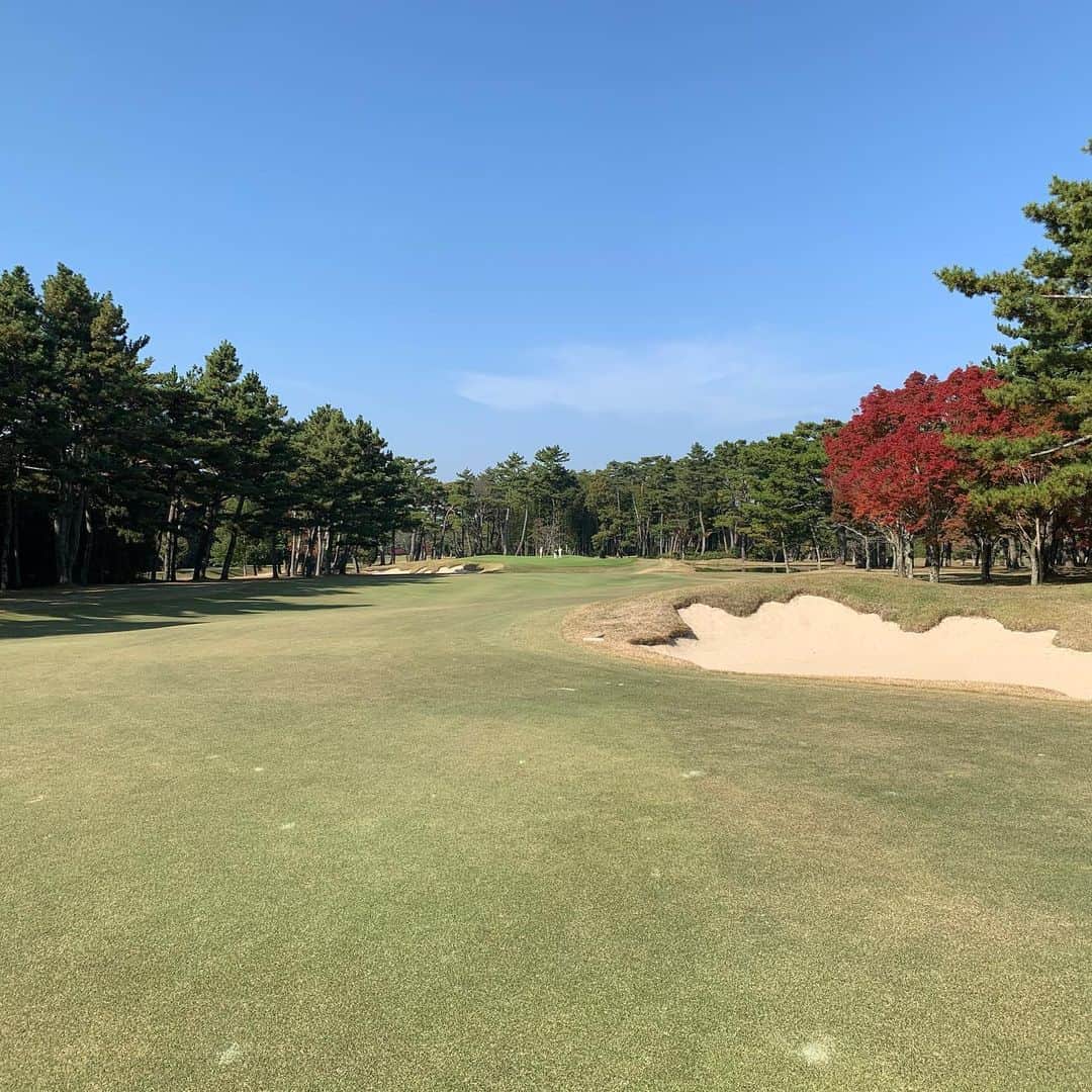 浅越しのぶさんのインスタグラム写真 - (浅越しのぶInstagram)「ゴルファーの聖地、廣野ゴルフ倶楽部でラウンドさせてもらいました。言うまでもない、素晴らしいゴルフ倶楽部ですが、スコアが素晴らしくない、、、。上手くなりたい！ #廣野ゴルフ倶楽部#ゴルフ#テニス#紅葉」11月18日 18時22分 - shinobu_asagoe_official
