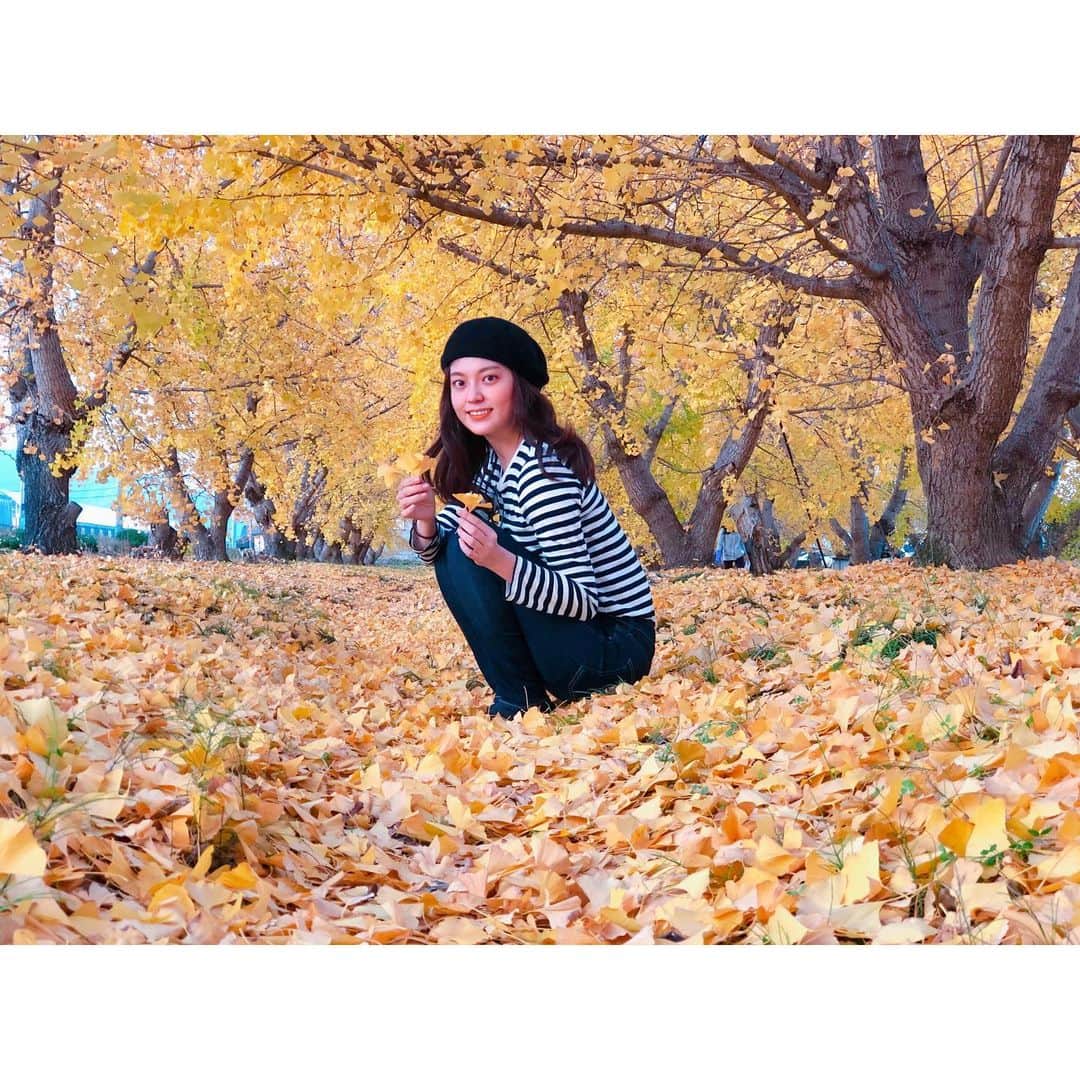 森夏美さんのインスタグラム写真 - (森夏美Instagram)「「紅葉を見に行こうよう🍂」  #毎年言いたくなるフレーズ #岐阜県 #紅葉 #銀杏」11月18日 18時44分 - mori_natsumi0722