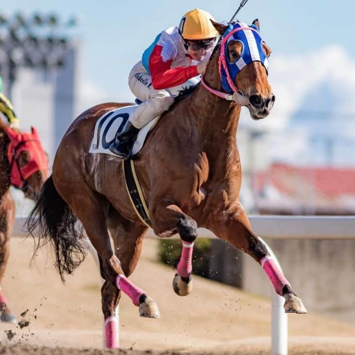 ミカエル・ミシェルのグルメインスタ