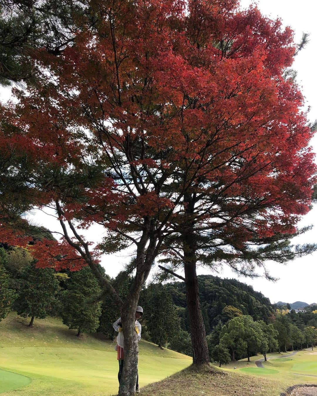 安藤あいかのインスタグラム：「ゴルフ女子！っていうやつ！  #golf  #逆光」