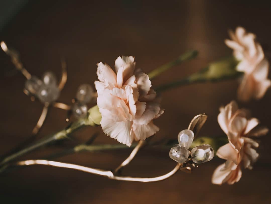 グーセンス パリのインスタグラム：「MISLETOE branch from our collection with @harumiklossowskaderola . . 📷 by @alix.marnat」