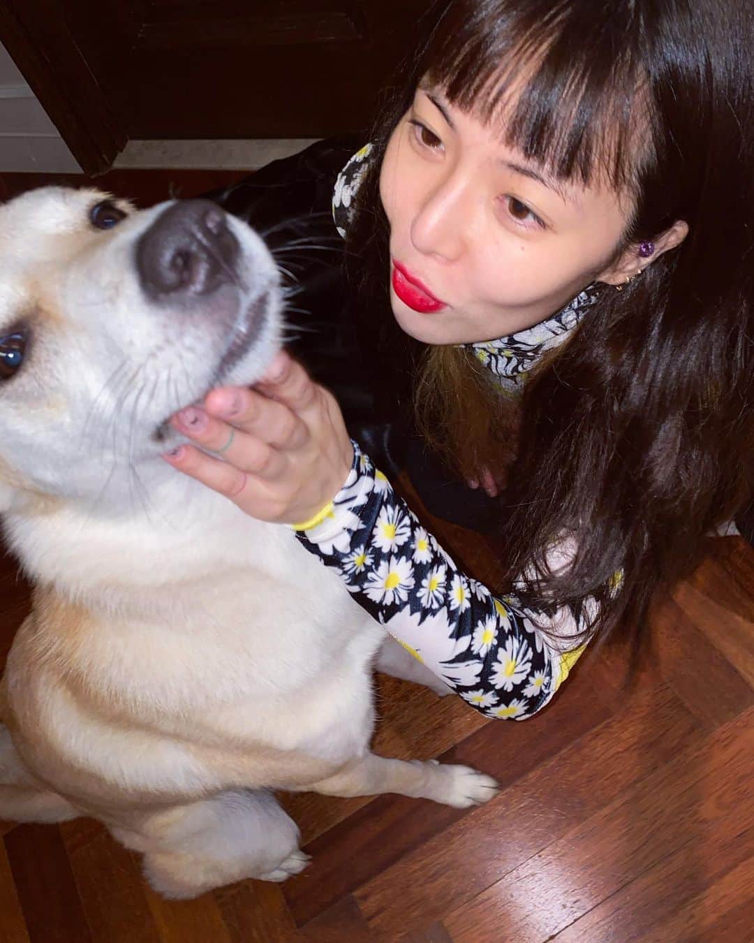 ヒョナ さんのインスタグラム写真 - (ヒョナ Instagram)11月18日 19時19分 - hyunah_aa